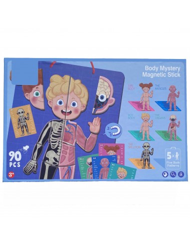 Magnetyczne puzzle ciało człowieka anatomia