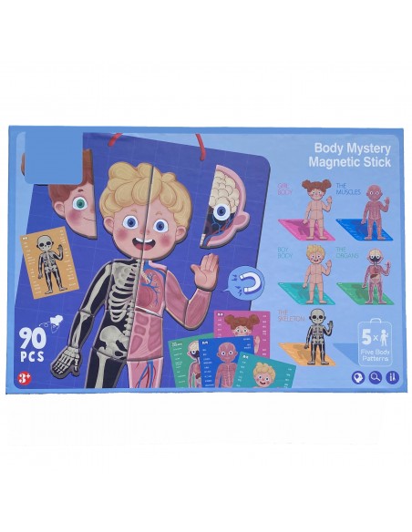 Magnetyczne puzzle ciało człowieka anatomia